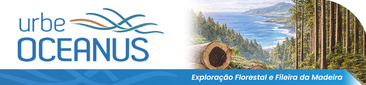 exportação madeira